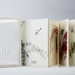 23